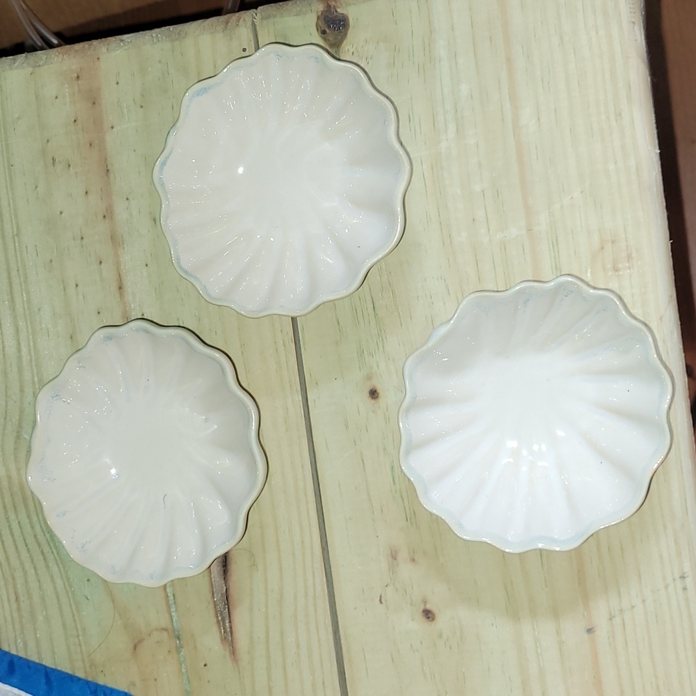 Shoreline Collection Dip Seashells